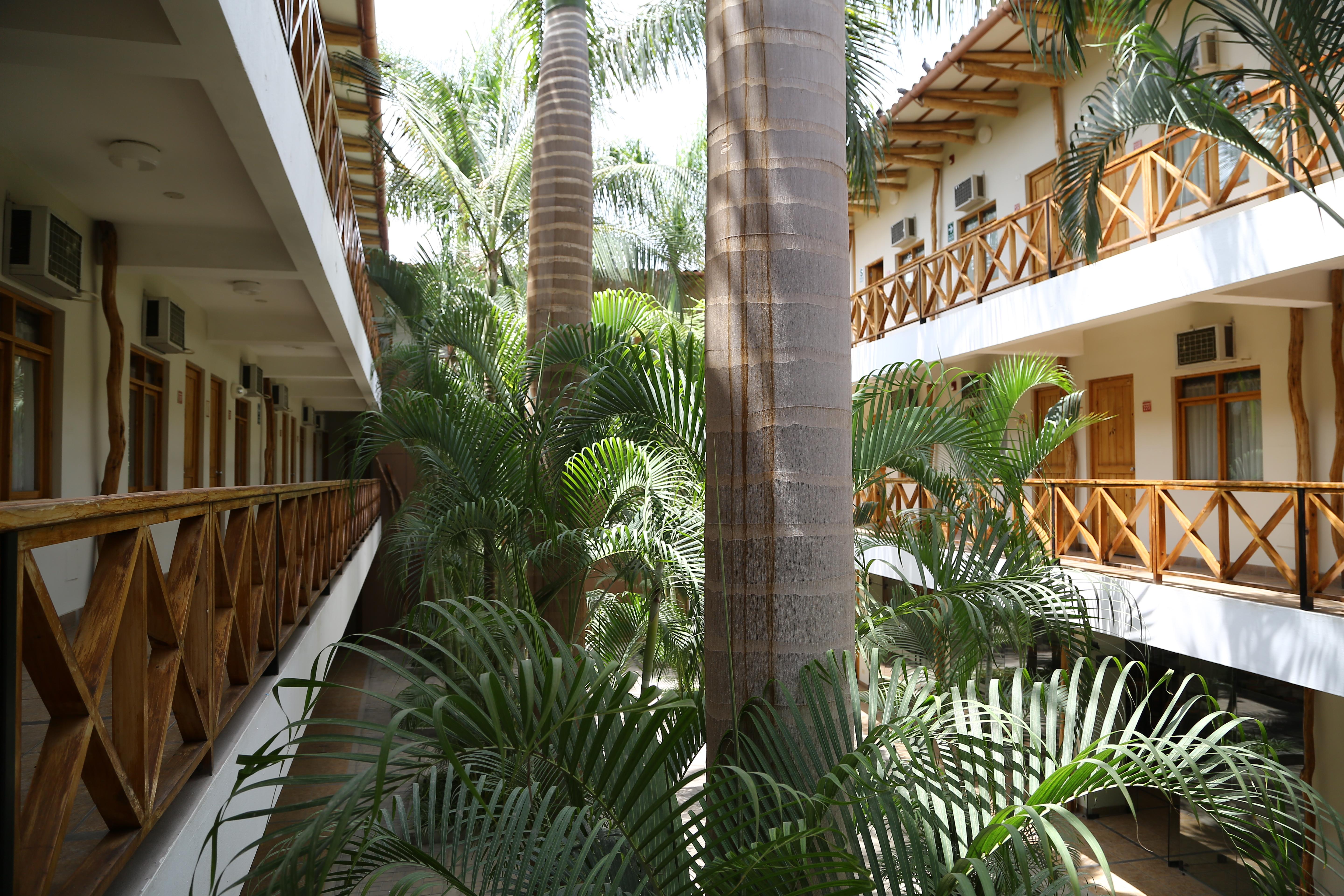 Casa Andina Standard Nasca Hotel Nazca Exterior photo